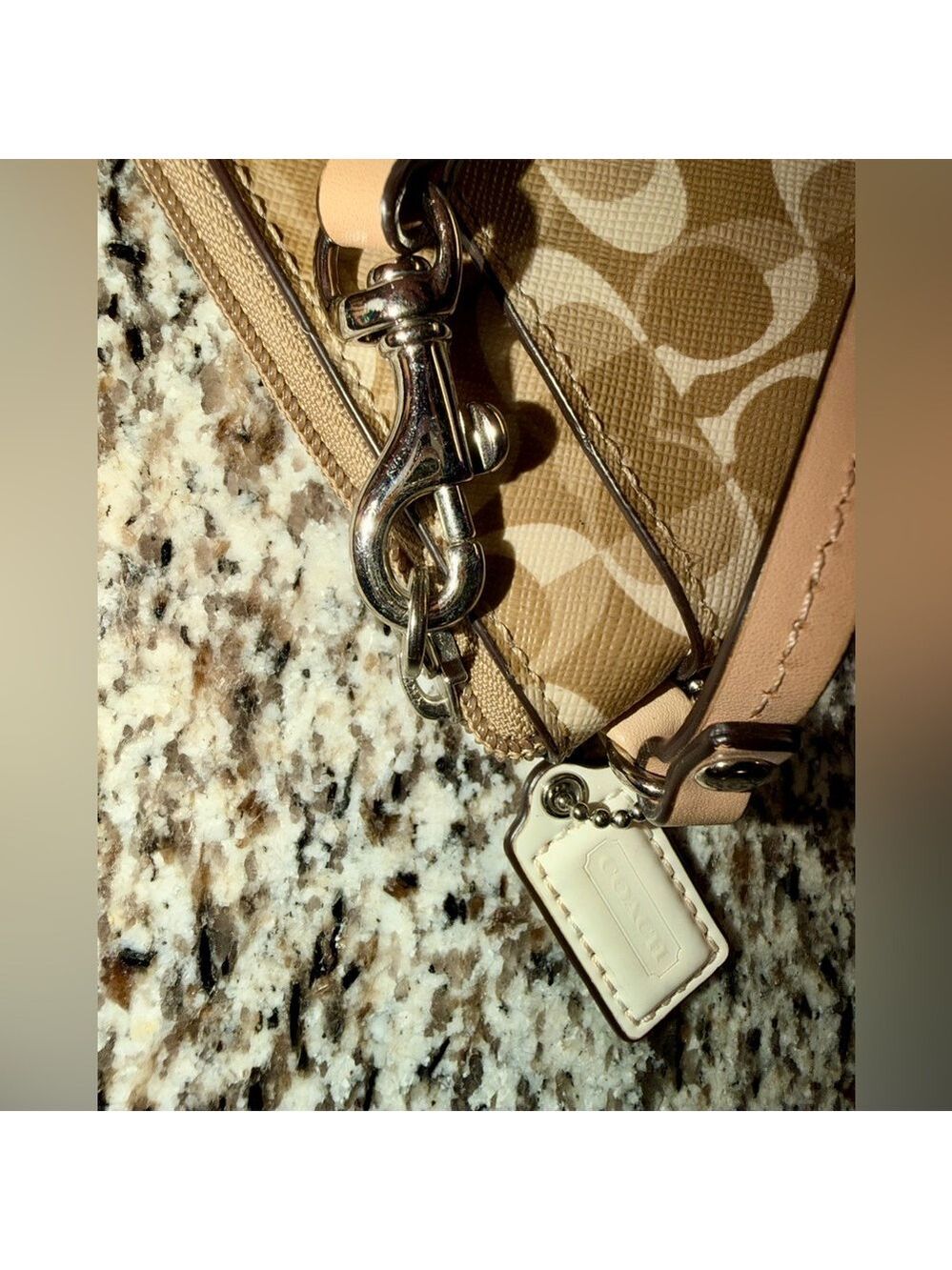Coach Signature Peyton Dream C Go-Go Wristlet / Wallet - neutral colorway 🐚 - Picture 11 of 15